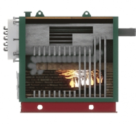 boiler with moving grates